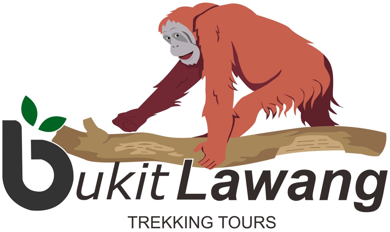 Bukit Lawang Trekking Tours Logo