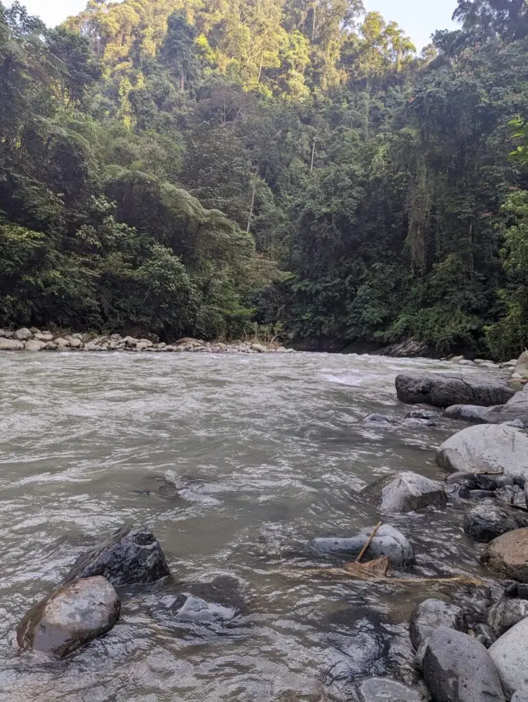 IMG-20231118-WA0042